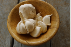 Garlic