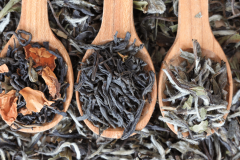 Black or Green Tea